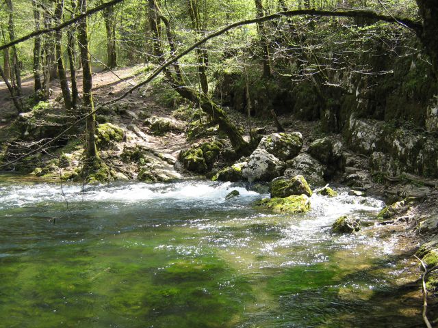 Rakov škocjan 04/2008 - foto