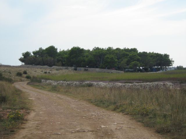 Pag 08/2008 - foto