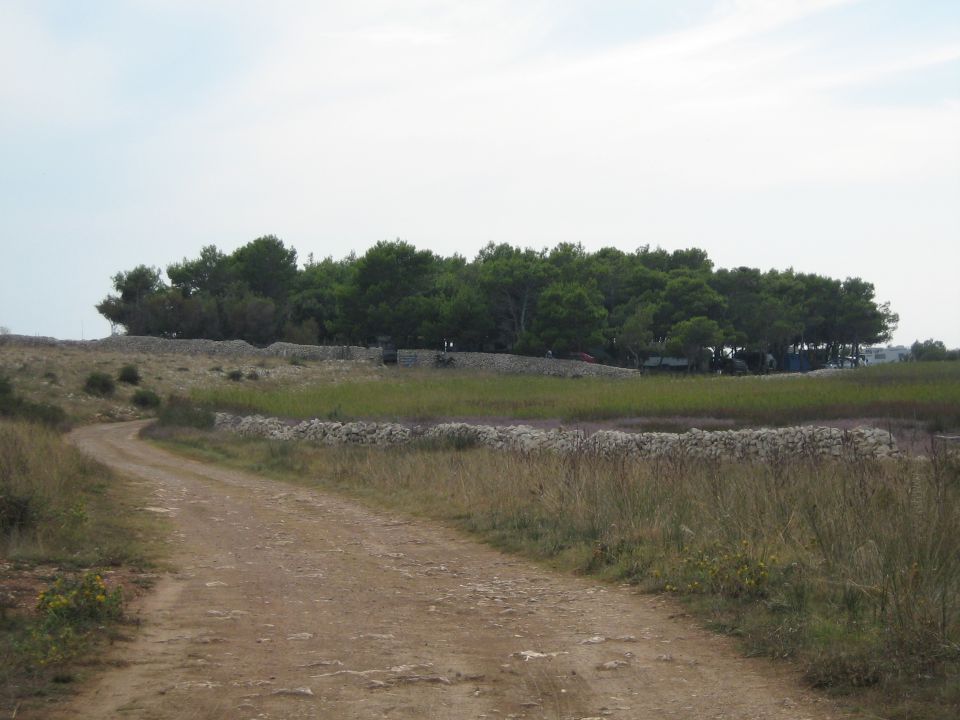 Pag 08/2008 - foto povečava