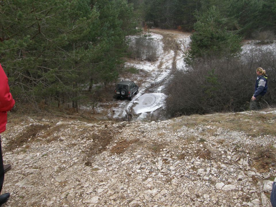 Osamosvojitevni piknik 2010 - foto povečava