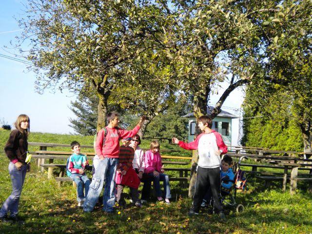 Orientacija-OŠPP, Sadovnjak-PPVI (2009/2010)