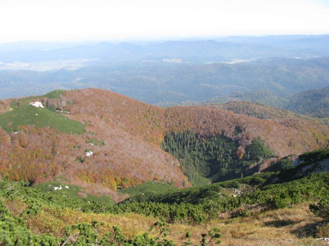 Moje fotke  - foto