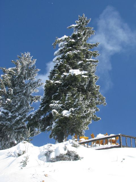 JAHORINA 2012 - foto