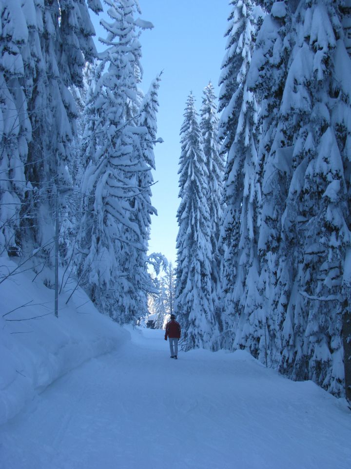 JAHORINA 2012 - foto povečava