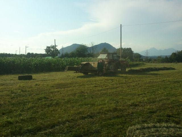 Kmetijstvo - foto