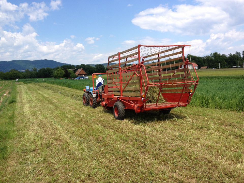 Kmetijstvo - foto povečava