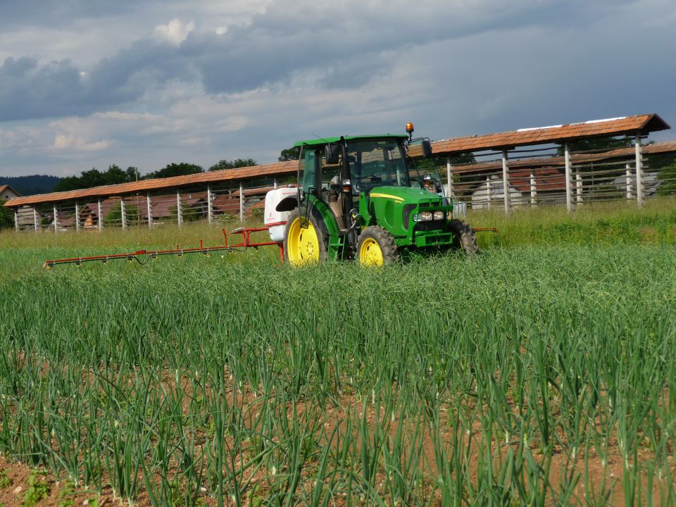 Kmetijstvo - foto povečava