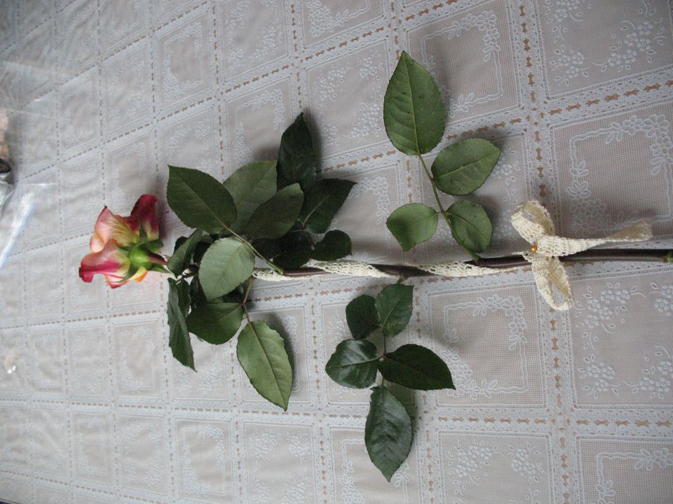 zraven pa še vrtnica s kvačkano