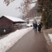 WORLD WINTER SWIMMING CHAMPIONSHIP BLED 2010