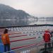 WORLD WINTER SWIMMING CHAMPIONSHIP BLED 2010