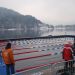 WORLD WINTER SWIMMING CHAMPIONSHIP BLED 2010