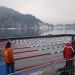 WORLD WINTER SWIMMING CHAMPIONSHIP BLED 2010