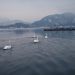 WORLD WINTER SWIMMING CHAMPIONSHIP BLED 2010