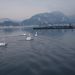 WORLD WINTER SWIMMING CHAMPIONSHIP BLED 2010