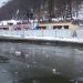 WORLD WINTER SWIMMING CHAMPIONSHIP BLED 2010