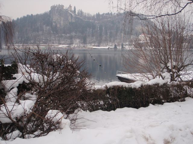 WORLD WINTER SWIMMING CHAMPIONSHIP BLED 2010