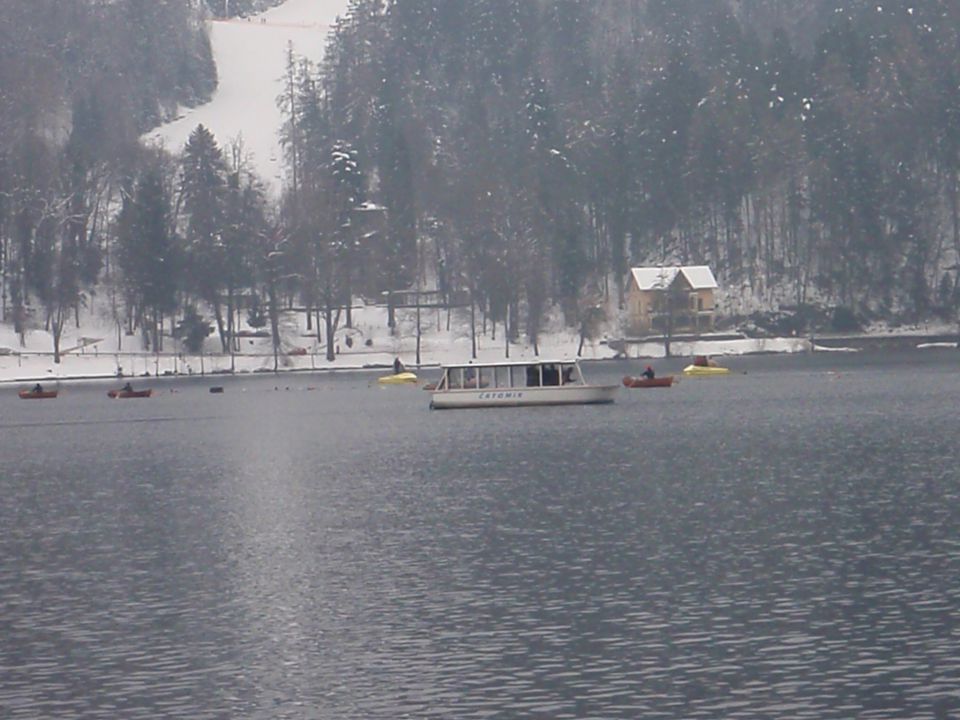 WORLD WINTER SWIMMING CHAMPIONSHIP BLED 2010