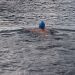 Promocija zimskega plavanja, Biserov maraton