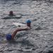 Promocija zimskega plavanja, Biserov maraton