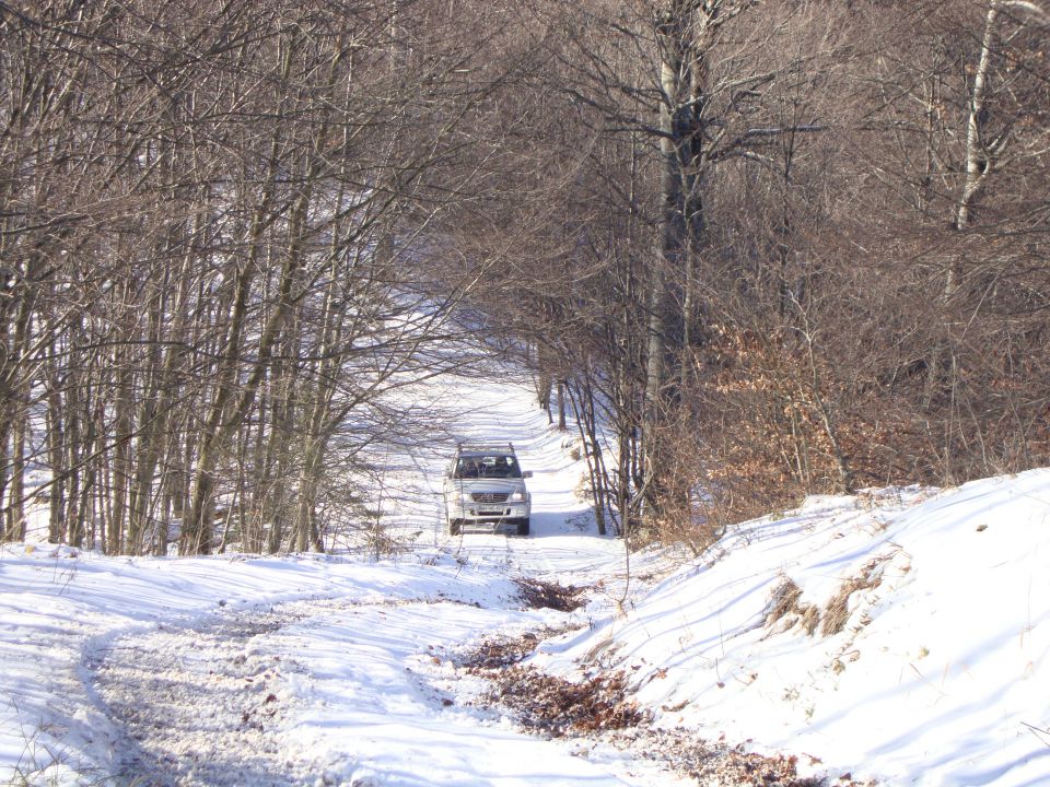 Silvesterski - foto povečava