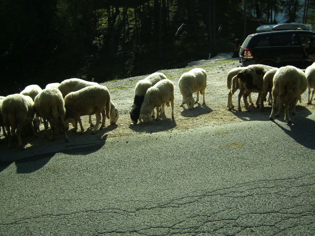 Vršič,mangart - foto