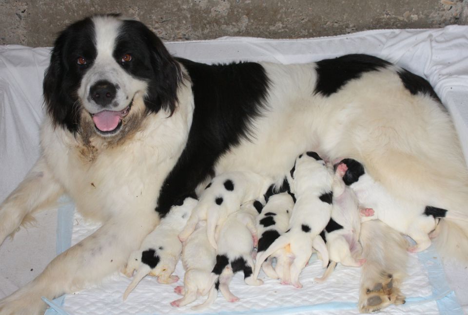 mama in mladina