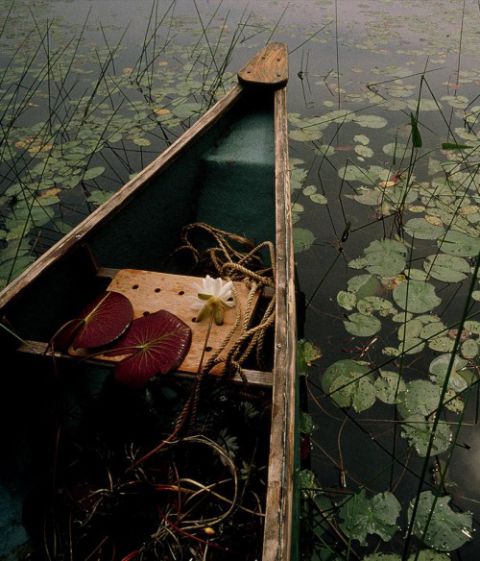 Naključne fotke - foto