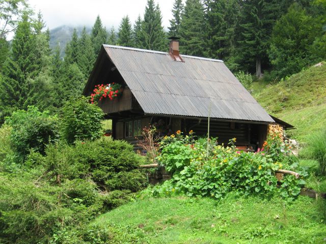 Planina