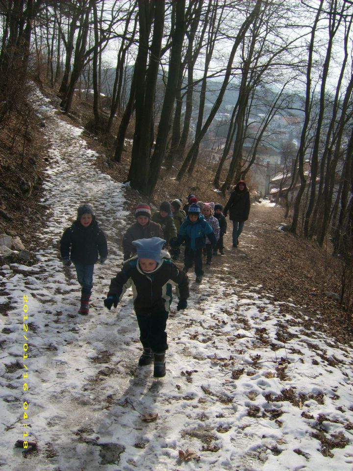 Zimski planinski pohod 17.02.2012 - foto povečava
