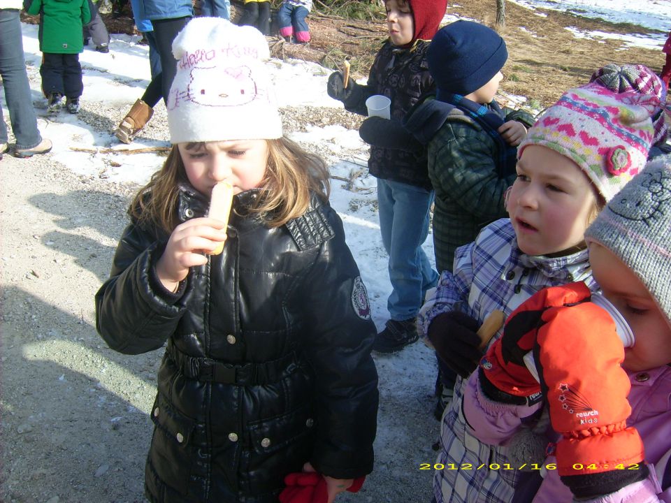 Zimski planinski pohod 17.02.2012 - foto povečava