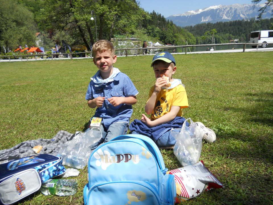 Ekoregata - Bled 19.05.2012 - foto povečava