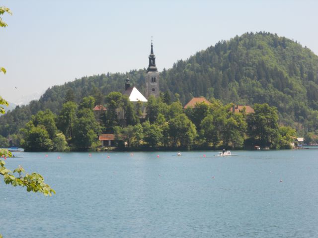 Ekoregata - Bled 19.05.2012 - foto