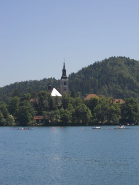 Ekoregata - Bled 19.05.2012 - foto