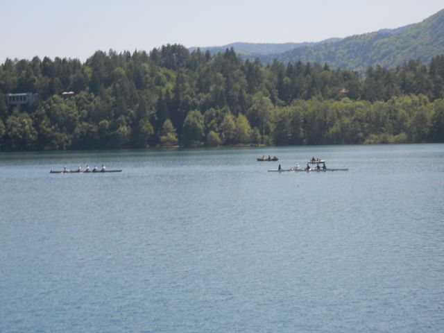 Ekoregata - Bled 19.05.2012 - foto