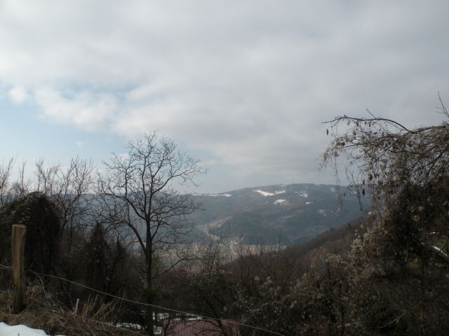 žirovnica, Žirovniški potok 17.3.10 - foto