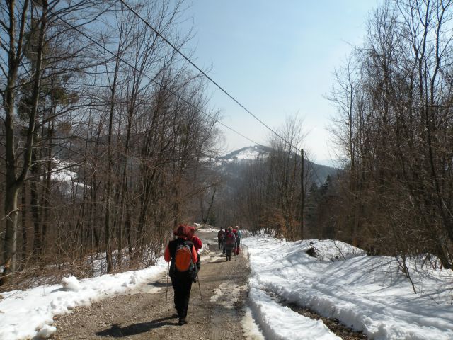 žirovnica, Žirovniški potok 17.3.10 - foto