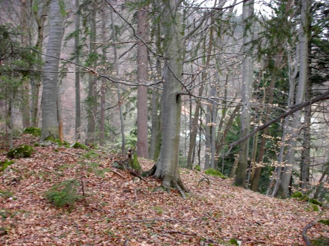 Jurklošter - orionov pas - 31.3.10 - foto
