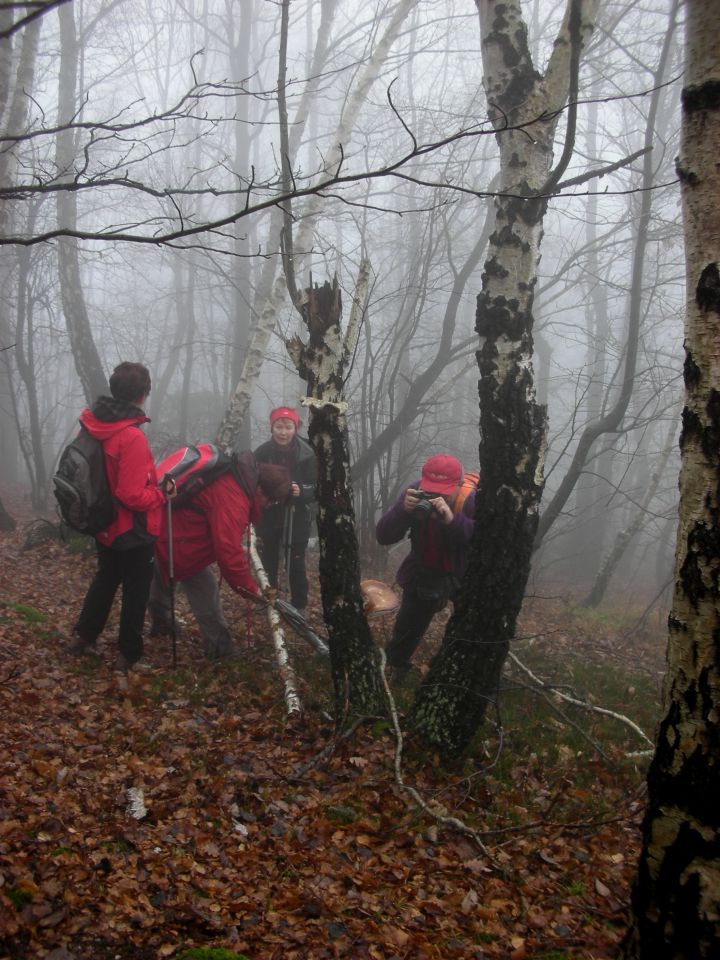 Kamrica 18.11.10 - foto povečava