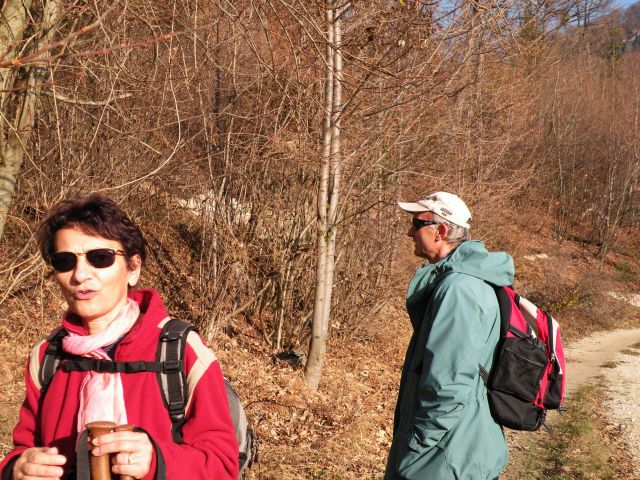 Čelovnik, Pleš, M.Planina 25.11.09 - foto