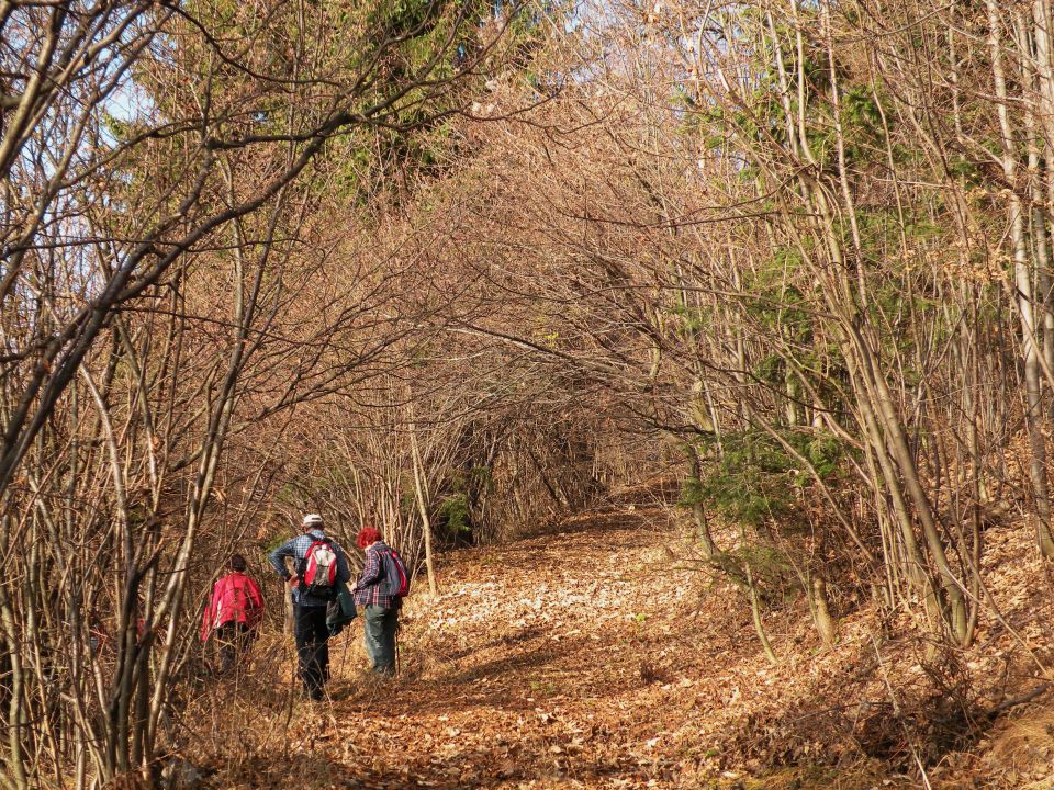 Čelovnik, Pleš, M.Planina 25.11.09 - foto povečava