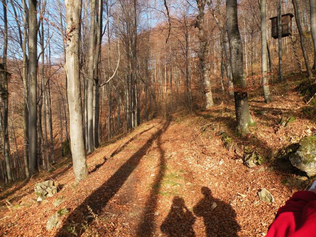 Čelovnik, Pleš, M.Planina 25.11.09 - foto