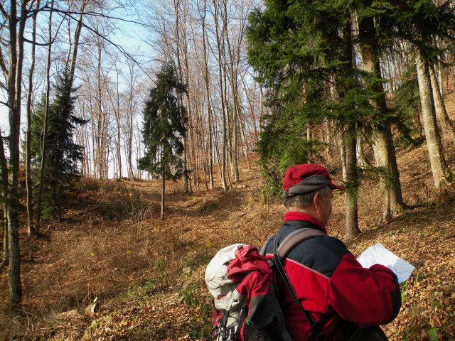 Čelovnik, Pleš, M.Planina 25.11.09 - foto