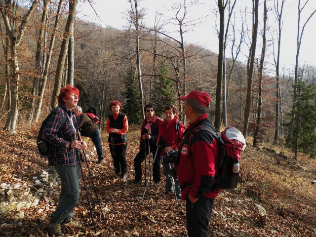 Čelovnik, Pleš, M.Planina 25.11.09 - foto