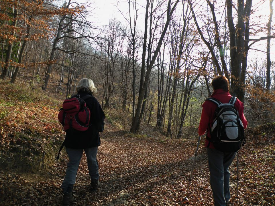 Čelovnik, Pleš, M.Planina 25.11.09 - foto povečava