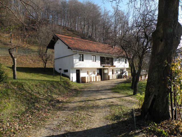 Čelovnik, Pleš, M.Planina 25.11.09 - foto