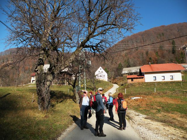 Čelovnik, Pleš, M.Planina 25.11.09 - foto