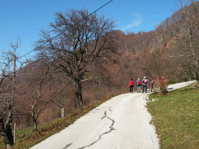 Čelovnik, Pleš, M.Planina 25.11.09 - foto