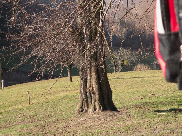 Čelovnik, Pleš, M.Planina 25.11.09 - foto