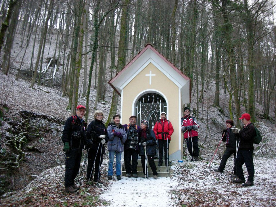 26.1.2011 Topolovec - foto povečava