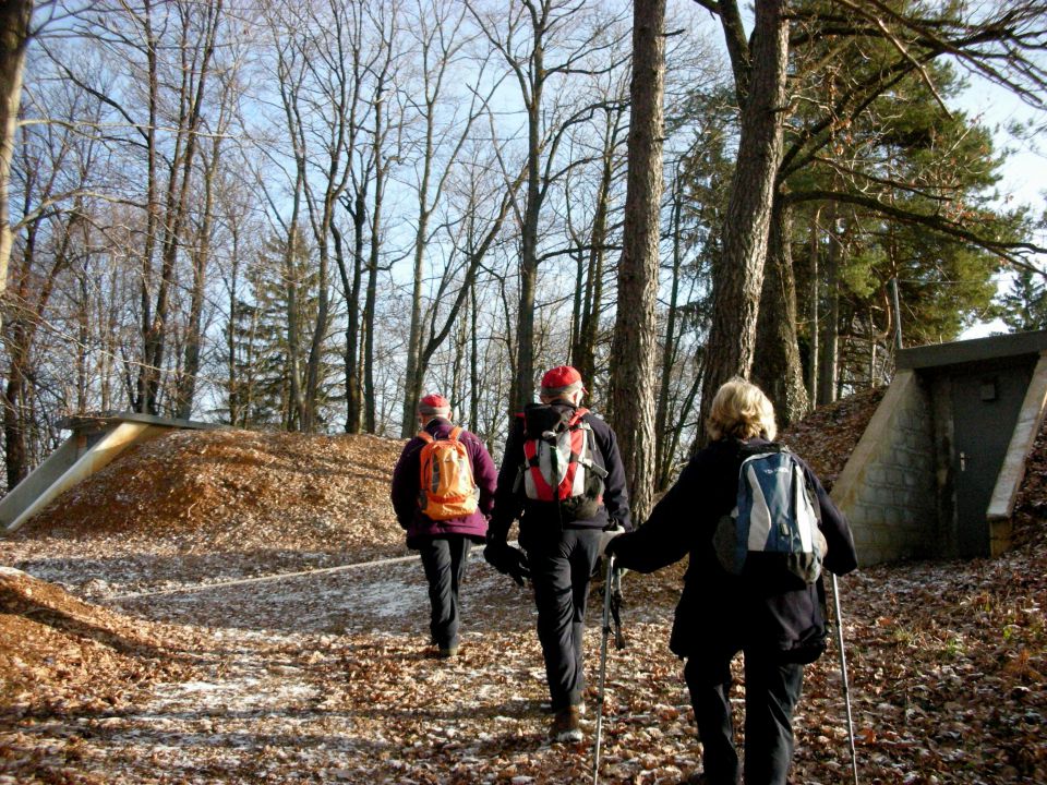 26.1.2011 Topolovec - foto povečava